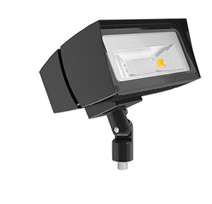 RAB Lighting FFLED26 26 WATT FUTURE FLOOD LED