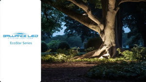 Brilliance LED EcoStar Series Lamps: The Epitome of Budget-Friendly Landscape Illumination