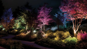 Colorscaping by WAC: Transform Your Outdoor Oasis with the Ultimate Expression of Light