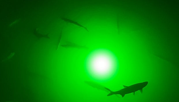 Incredible Underwater LED Lighting AP-G120 Green Apollo Underwater LED Lighting System (120 foot power cord) - Atlantic Lighting