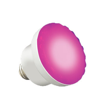Halco Sollos LPL-S3-RGBW-12 Halco - - Color Splash LXGW2 RGBW Includes Guardian Lens Gasket for Pentair Pool and Spa, 12V - Atlantic Lighting