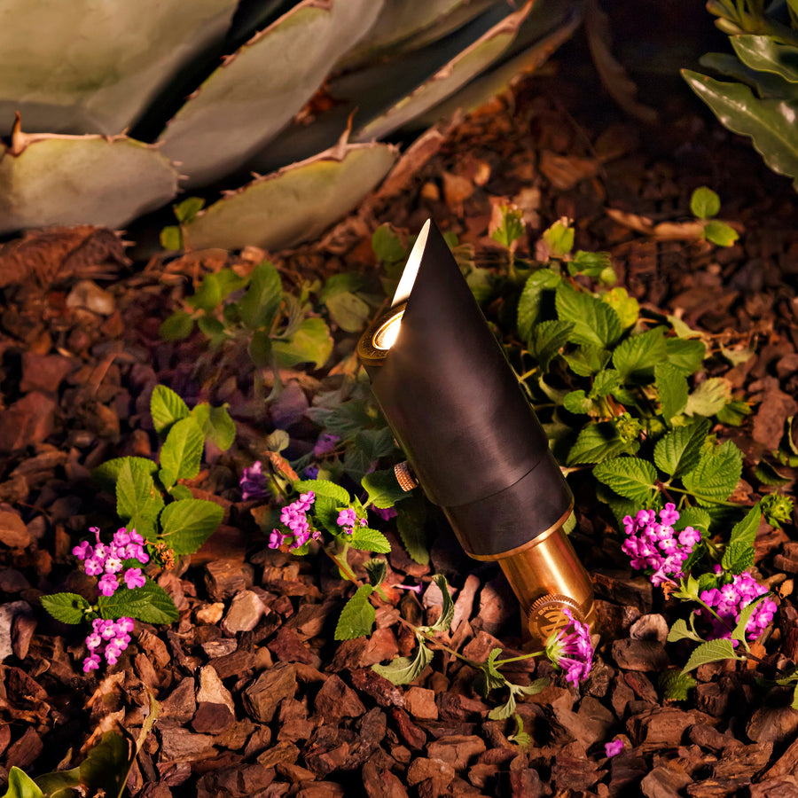 Brilliance Acadia MR11 directional light installed in a landscape bed