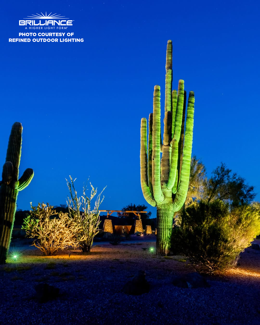 Brilliance Chameleon PAR36 color-changing landscape lighting installation by Refined Outdoor Lighting