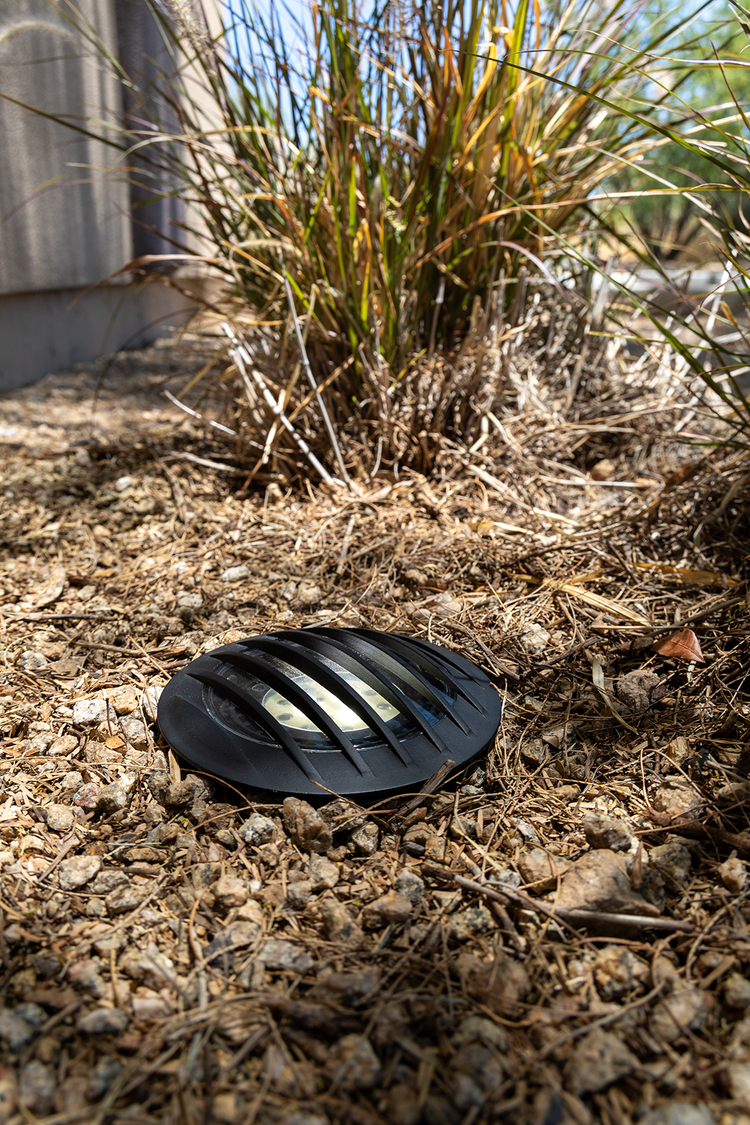 Brilliance black PAR36 grate well light installed in a landscape bed beside ornamental grass