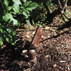 CAST CBL5CB compact MR11 bronze spotlight installed in landscape
