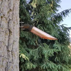 CAST CCTL2C tree light installed for landscape moonlighting