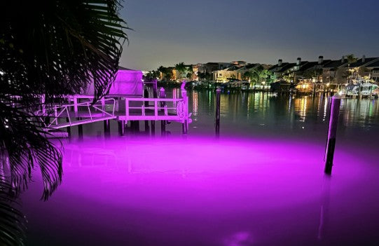 Incredible Underwater LED Lighting MW-P40 Purple Mega-Watt Underwater LED Lighting System (40 foot power cord) - Atlantic Lighting