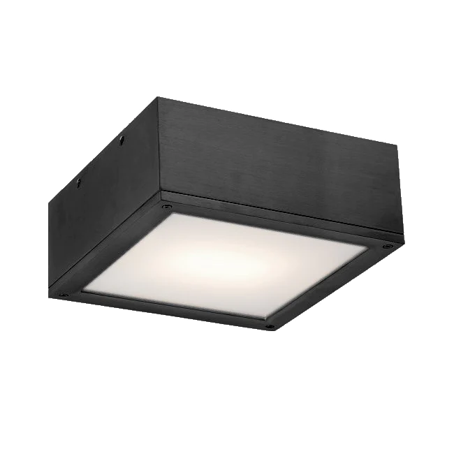 WAC FM-W2510-BK RUBIX CEILING MOUNT 30W BLACK - Atlantic Lighting