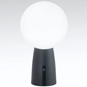 Zafferano Olimpia Table Lamp LD0900N3 Dark Grey