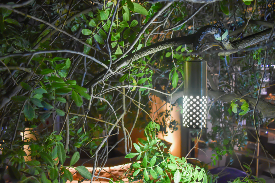 Brilliance GLACIER-BK-PERF-NL Glacier Perforated Hanging Down Light - Atlantic Lighting