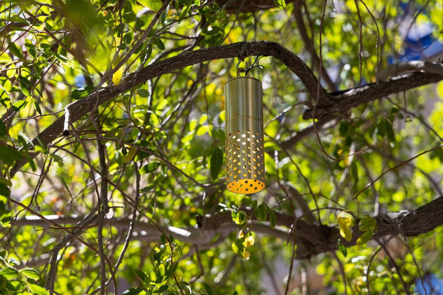 Brilliance GLACIER-BK-PERF-NL Glacier Perforated Hanging Down Light - Atlantic Lighting