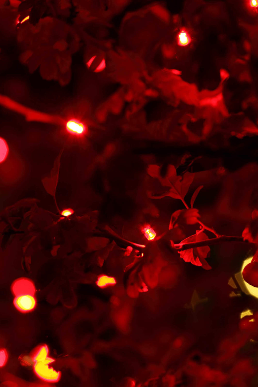 Seasonal Source 220012 Red DuraBright 5MM LED Strand, 4" Spacing - Atlantic Lighting