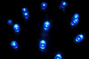 Seasonal Source - 70 5MM Blue LED Holiday Lights, 4" Spacing -  - Standard Strands  - Big Frog Supply