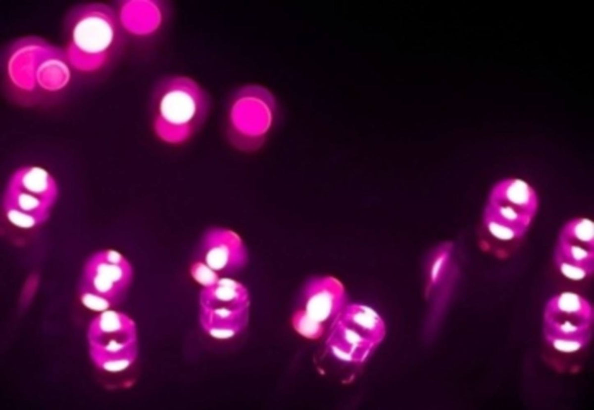 Seasonal Source 220019 Pink DuraBright 5MM LED Strand, 4" Spacing - Atlantic Lighting