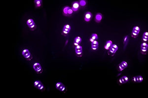 Seasonal Source - 70 5MM Purple LED Holiday Lights, 4" Spacing -  - Standard Strands  - Big Frog Supply