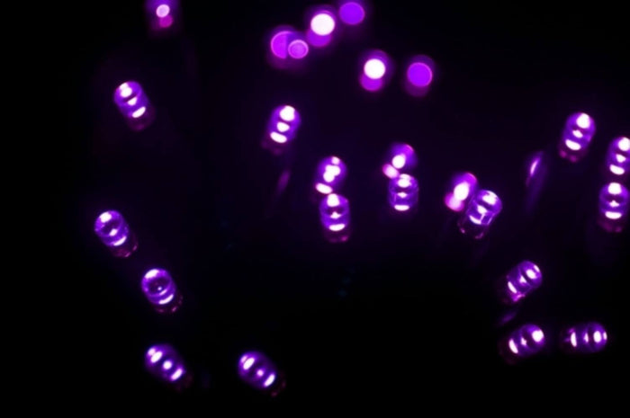 Seasonal Source 45612R-B Purple 5MM LED Strand, 4" Spacing