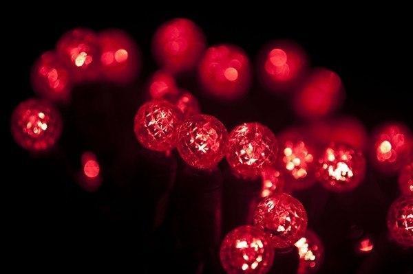 Seasonal Source G12 70L RED G12 Red LED String Lights, 4" Spacing